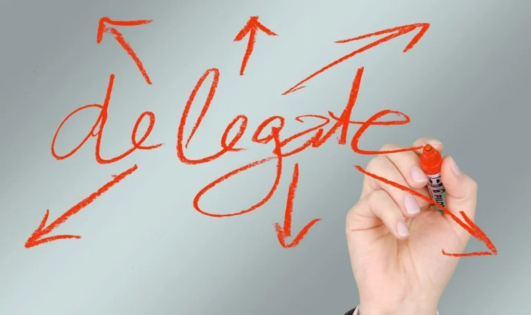 What is Delegation: Definition, Examples, Principles