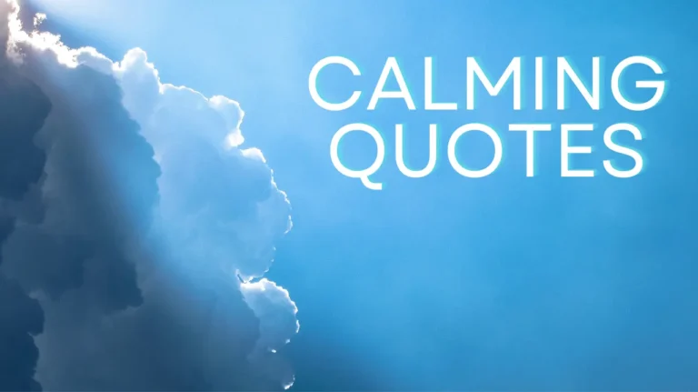 85 Calming Quotes to Soothe Your Mind and Soul in 2024