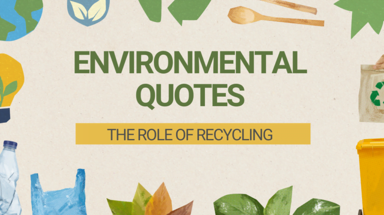 93 Environmental Quotes to Ignite Sustainability: 2024
