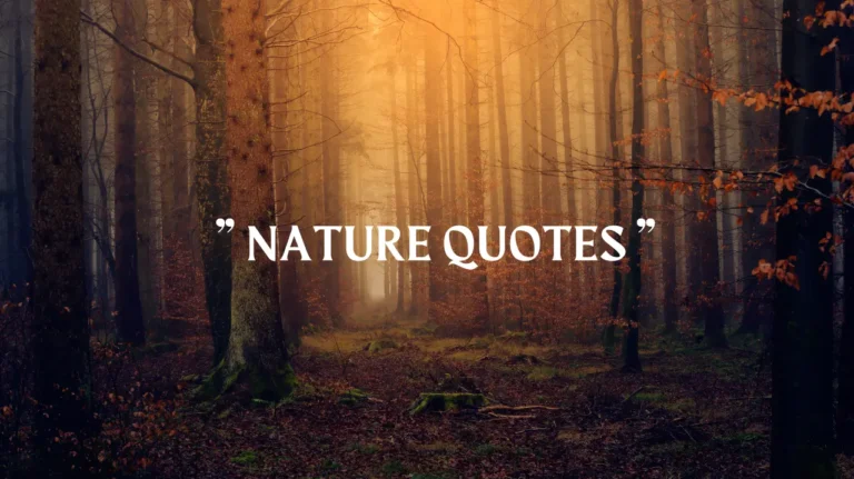 95 Nature Quotes: Celebrating Splendid Beauty|2024