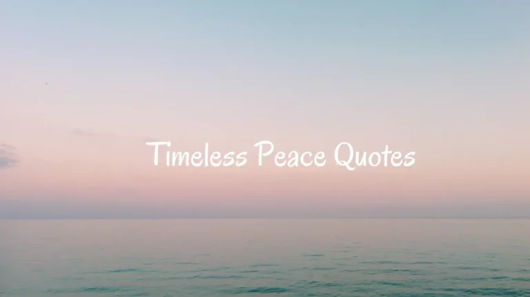 103 Timeless Peace Quotes to Find Inner Harmony(2024)